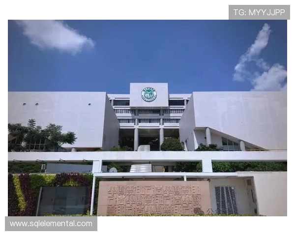 澳门申博全面解析：申请流程、条件及最新政策指南